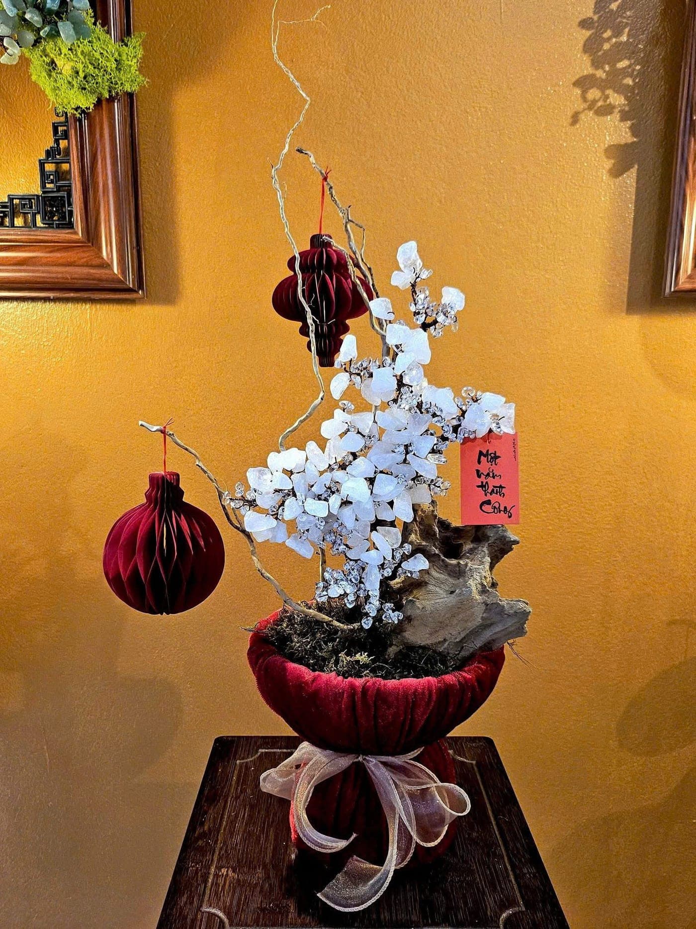 Cây đá quý trung
